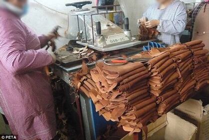 Cina, il macello degli orrori 2