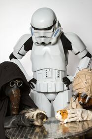 I personaggi di Star Wars per l'adozione degli animali 7