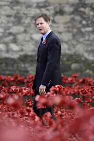 Torre di Londra, il campo di papaveri per l'"Armistice Day" 8