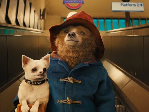 Quel legame tra Paddington e Zelensky