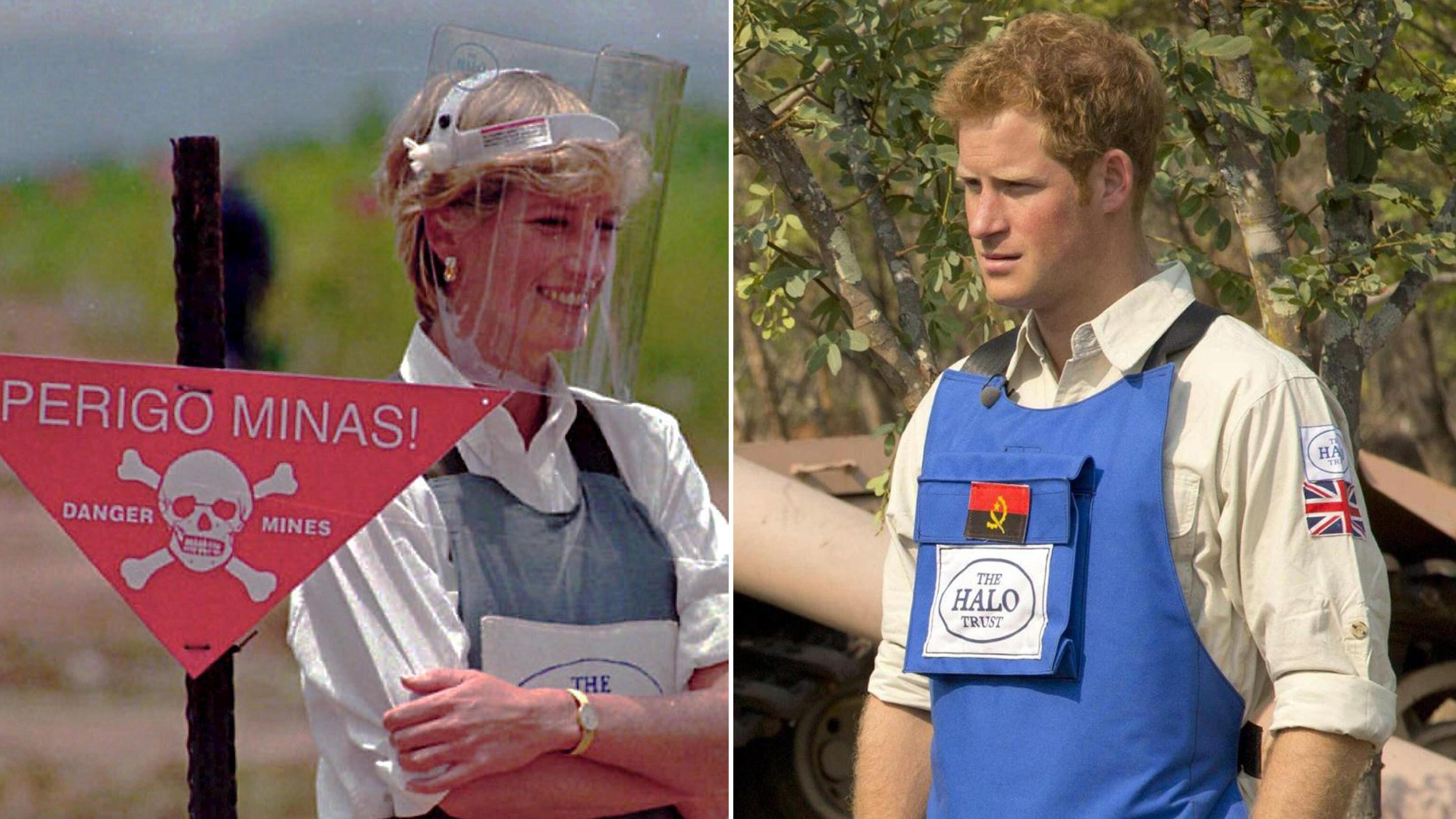Il principe Harry: "Sono il figlio di mia madre"