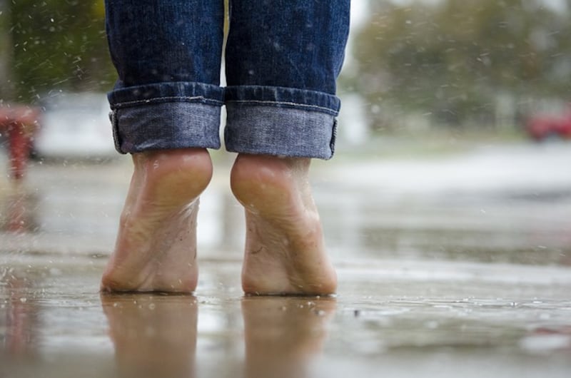Piedi