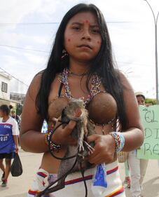 Gli indigeni colombiani si uniscono in difesa dell' "Ishtana" e dell'armonia 13