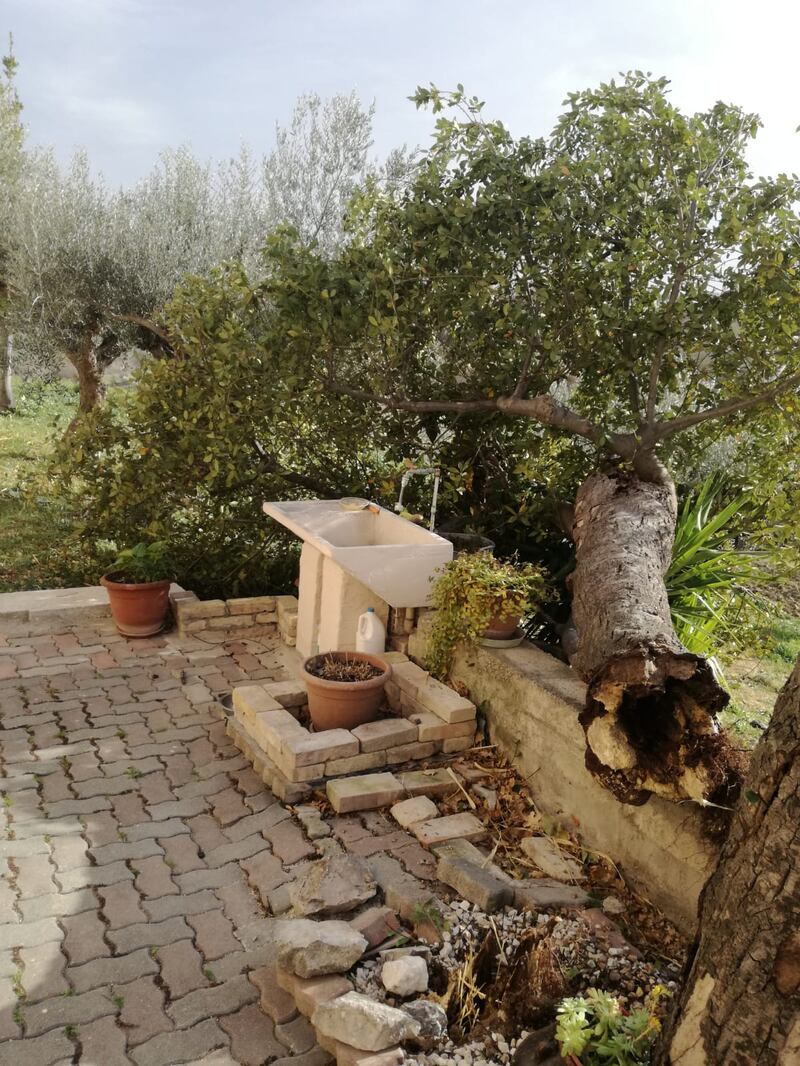 Vento forte a Pescara, albero cade su una macchina 1