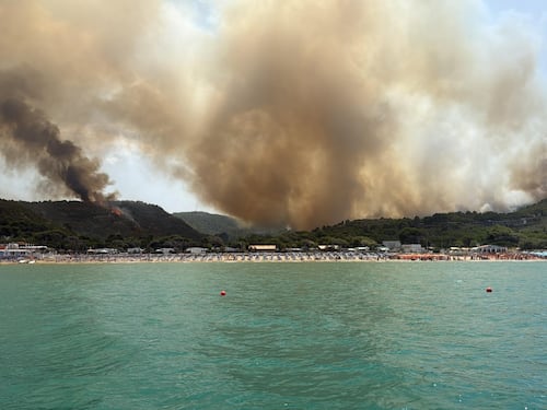 Fiamme in tutta Europa. Incendi nel Gargano: turisti in fuga via mare