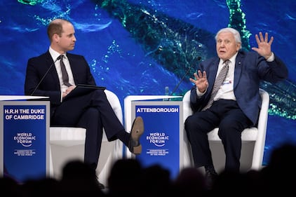 Il Principe William al World Economic Forum 1
