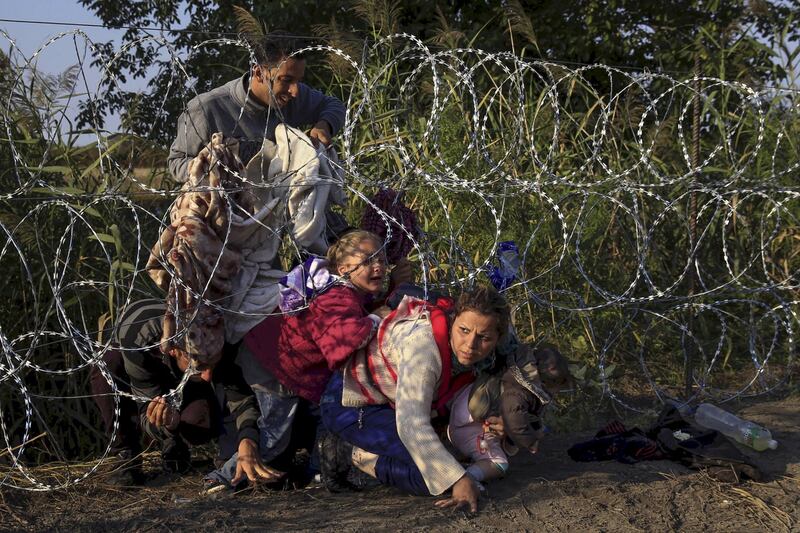 Le foto del New York Times che hanno vinto il Pulitzer 2016 4