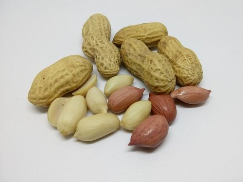 Vitamina E, alleata delle difese immunitarie