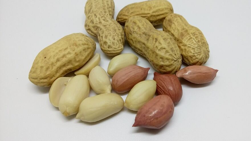 Vitamina E, alleata delle difese immunitarie