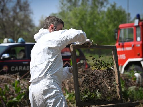 "Soffocata con la parrucca". Quel cadavere nei campi e l'ombra del delitto