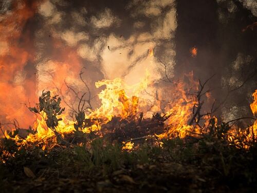 Arriva l'estate e iniziano gli incendi. La Regione corre ai ripari