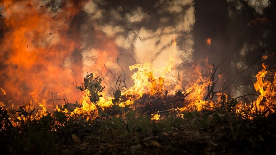Arriva l'estate e iniziano gli incendi. La Regione corre ai ripari