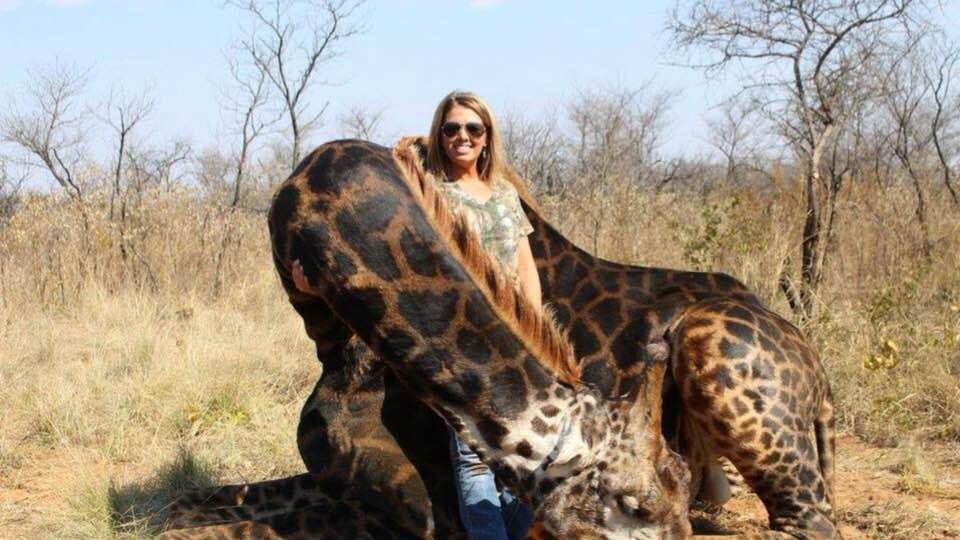 Uccide una giraffa e posta le foto: insulti e minacce sui social