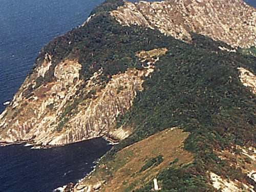 Sapete che esiste un'isola proibita a tutti gli esseri umani? La storia di Queimada Grande