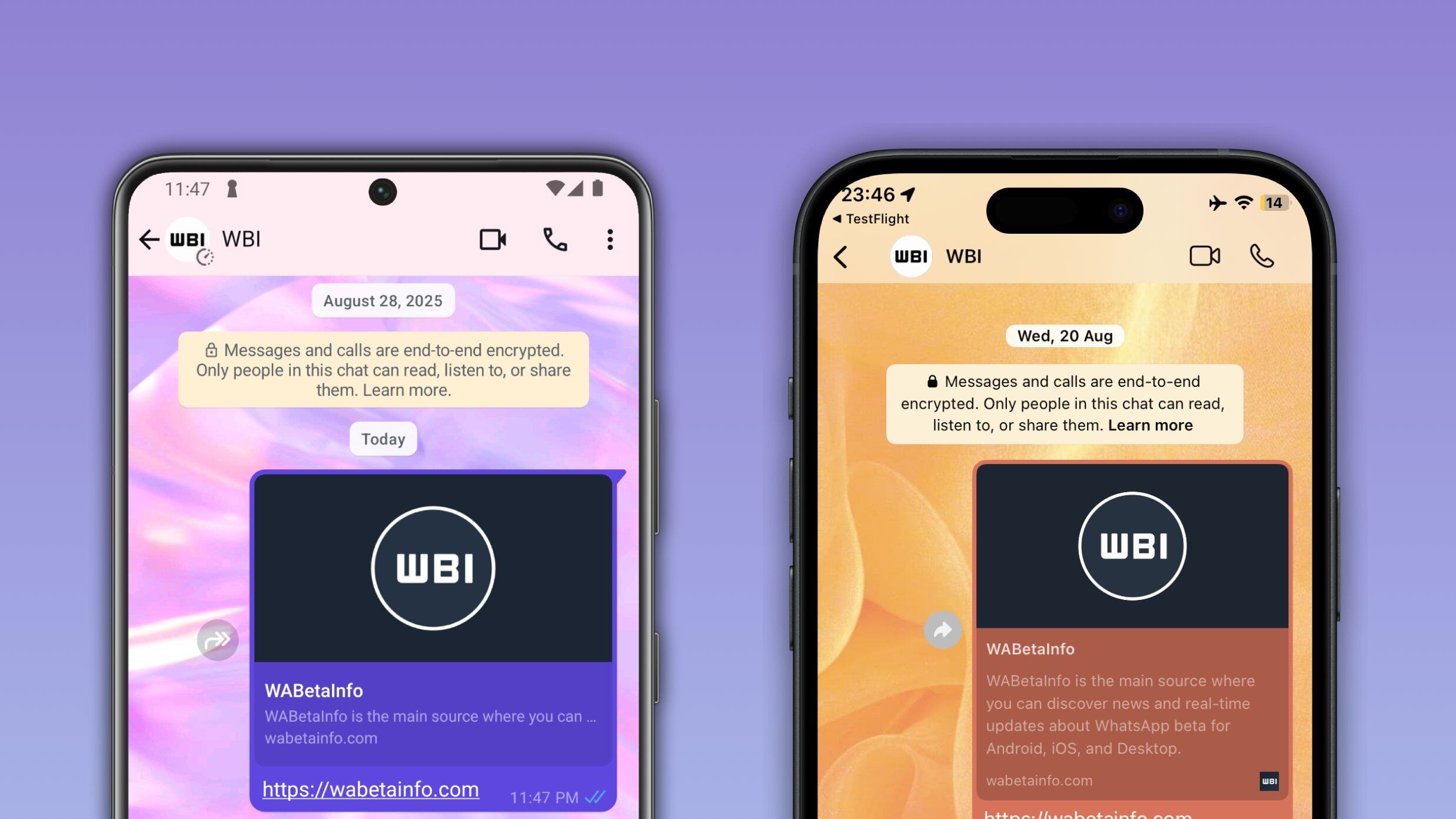 WhatsApp, tornano le spunte blu per tutti: cosa succede