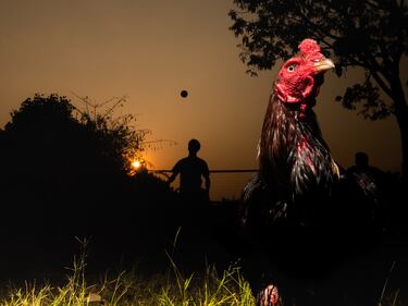 Emerging Photographer Exhibition Contest, i finalisti 7