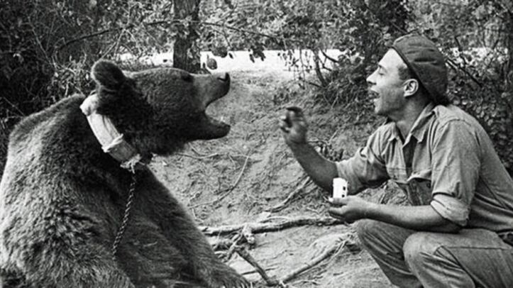 L'orso eroe di Montecassino diventa un cartone animato