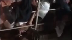 Corinaldo, il 17enne indicato per la strage è stato denunciato per rapina