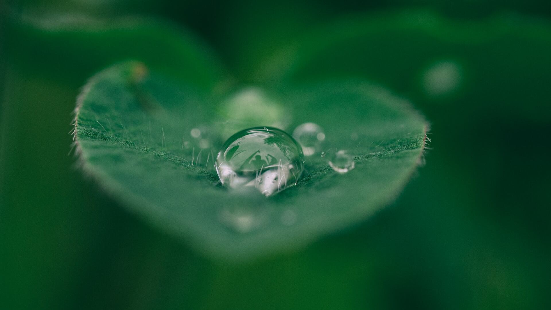 Ridurre lo spreco di acqua in casa: 5 consigli