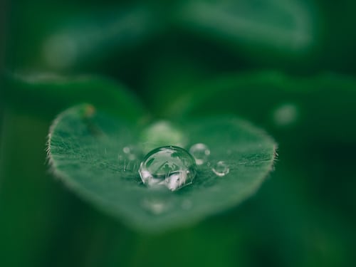 Ridurre lo spreco di acqua in casa: 5 consigli