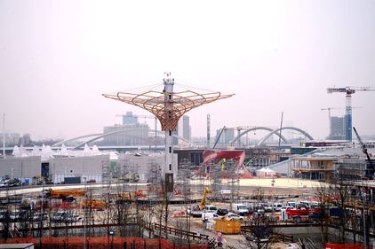 L'albero di Expo mette la chioma 5