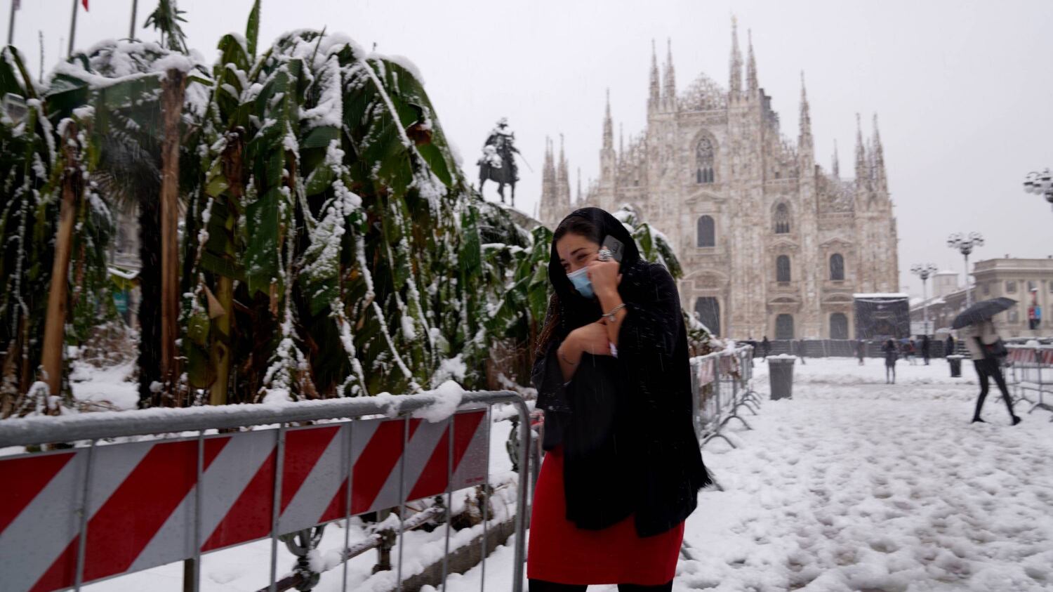 La strage degli alberi? "Manutenzione scarsa, non è colpa della neve"
