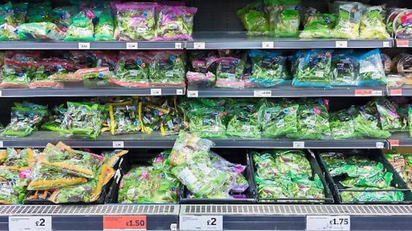 Mangiano insalata in busta e ci trovano un topo morto. Lotto ritirato da scaffali