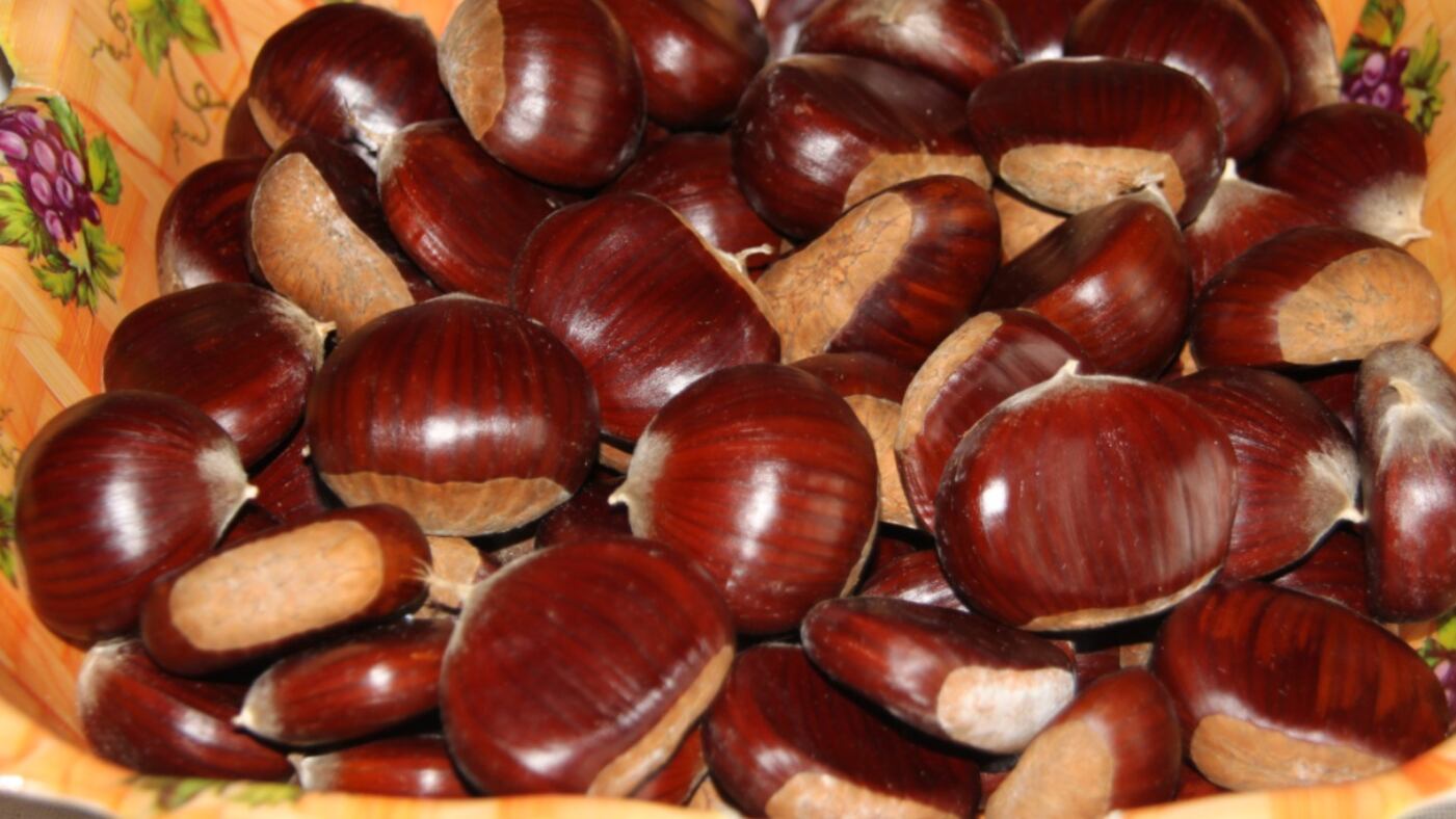 Castagne, come conservarle appena raccolte e 4 modi per prepararle