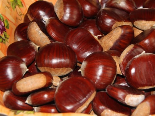 Castagne, come conservarle appena raccolte e 4 modi per prepararle
