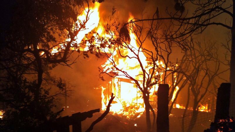 California divorata dalle fiamme. 400 case distrutte 11