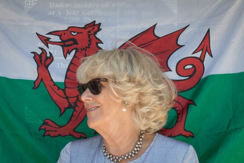 Camilla Parker Bowles, le foto della duchessa 8