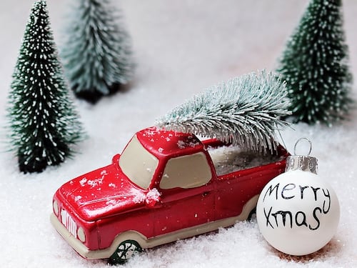 Come trasportare l'albero di Natale evitando le multe e in sicurezza