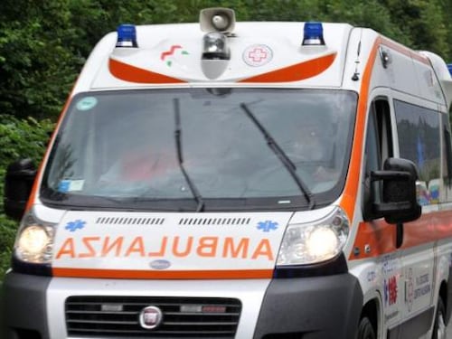 Bimba di 6 anni azzannata da un cane randagio mentre è al parco con altri bambini: è in rianimazione