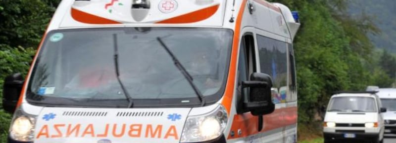 Bimba di 6 anni azzannata da un cane randagio mentre è al parco con altri bambini: è in rianimazione