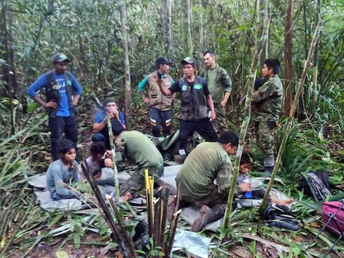 "La mamma ci ha detto: salvatevi". Il miracolo dei fratellini sopravvissuti nella foresta colombiana