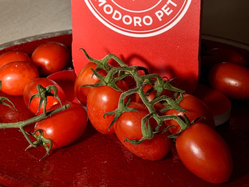 Petti premia i suoi agricoltori con una serata speciale a Venturina Terme