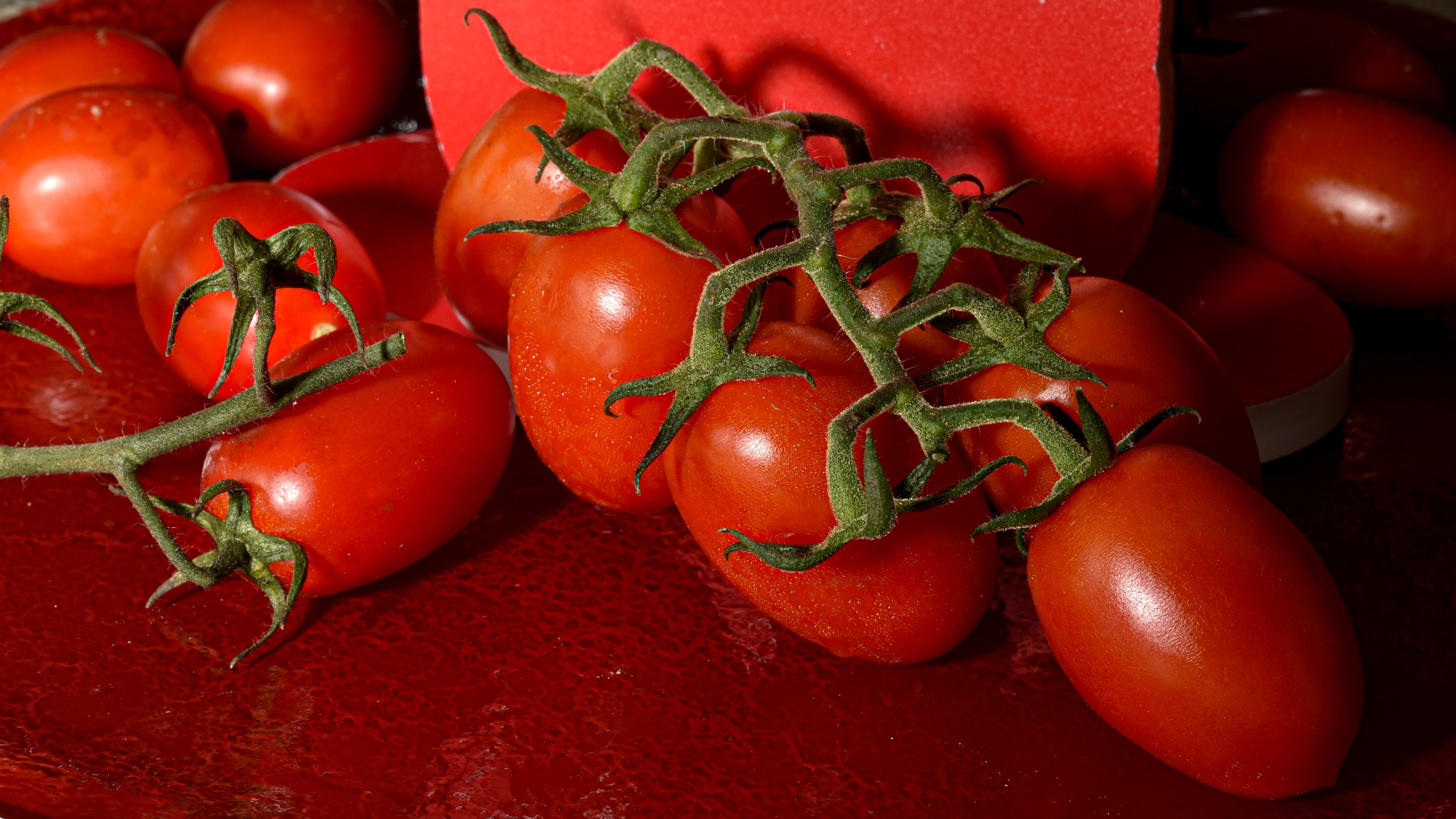 Petti premia i suoi agricoltori con una serata speciale a Venturina Terme