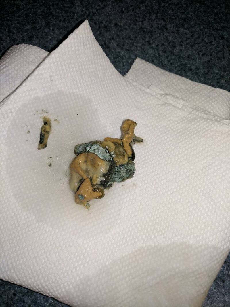 Scoperta choc nella bevanda 9