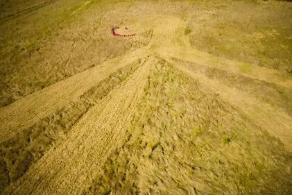 Clitoride gigante disegnato in un campo nel sud della Francia 8