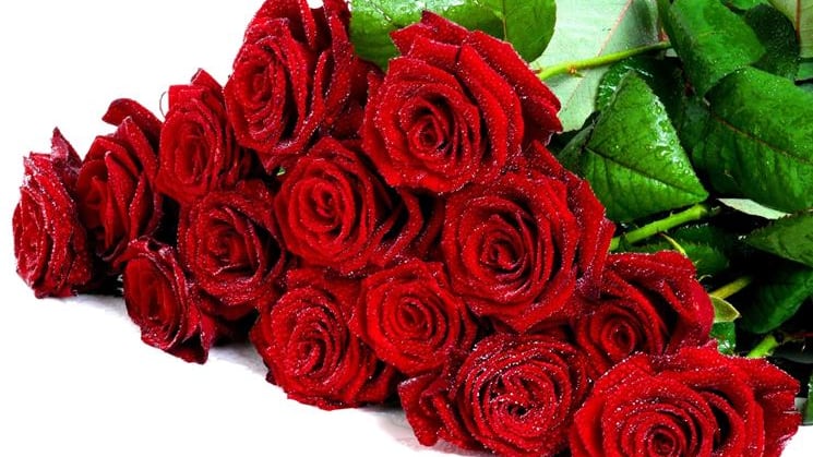 Regala un mazzo di rose all'ex compagna: condannato per stalking