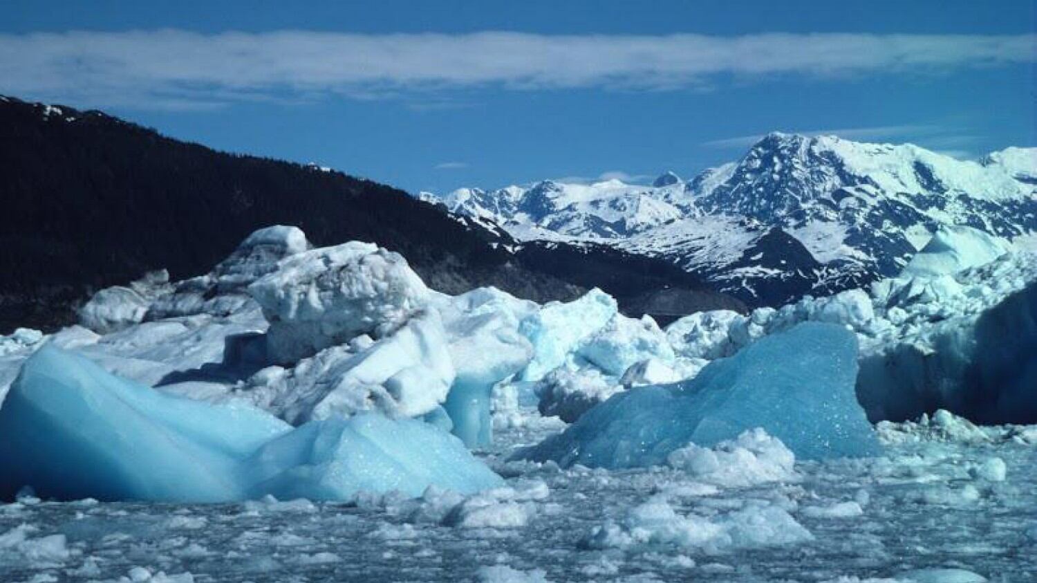 Questo è il febbraio più caldo dal 1880: "E' emergenza climatica"