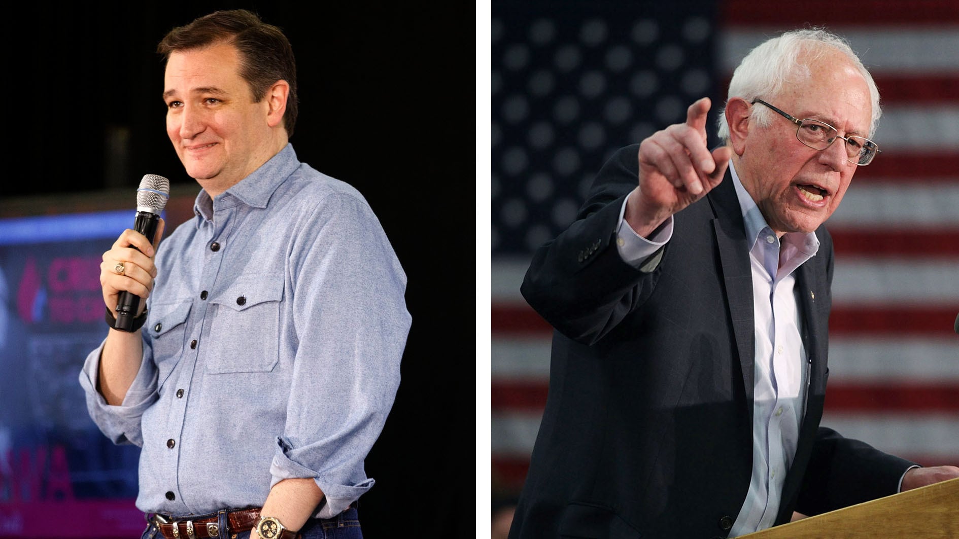 Primarie Wisconsin, vincono Cruz e Sanders