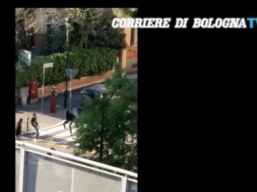 Basket, violenta rissa tra i tifosi di Virtus Bologna e Varese: c'è anche un ferito