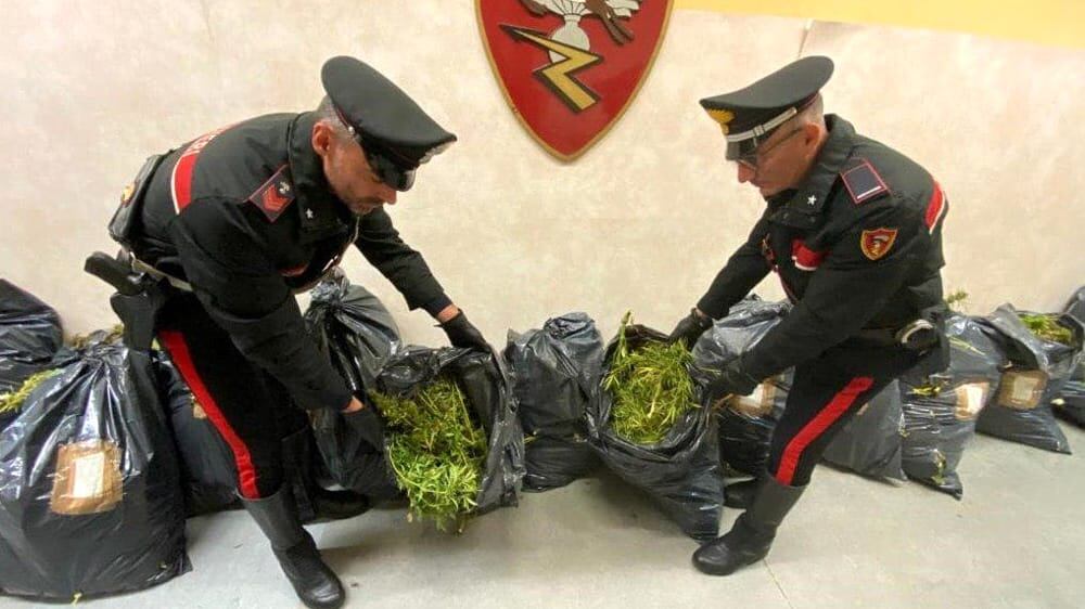 Fuga da film con 93 chili di erba in auto: arrestati
