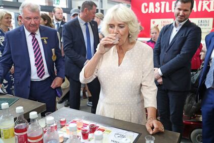 Il principe Carlo e Camilla in attesa del Royal Welsh Show 3
