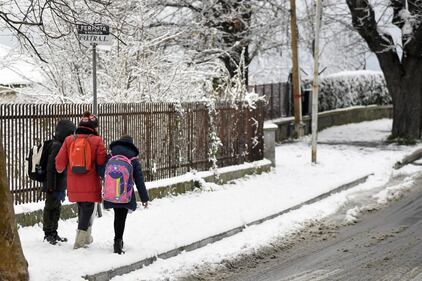 Neve e gelo sui Castelli romani 8