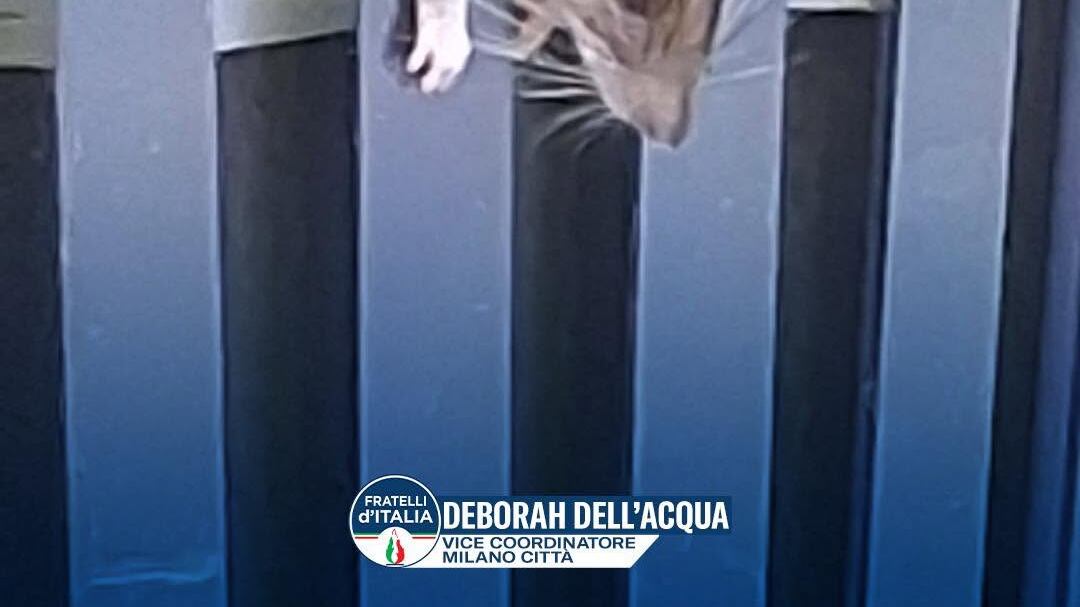 Il Pd vede i topi solo nei quartieri Aler