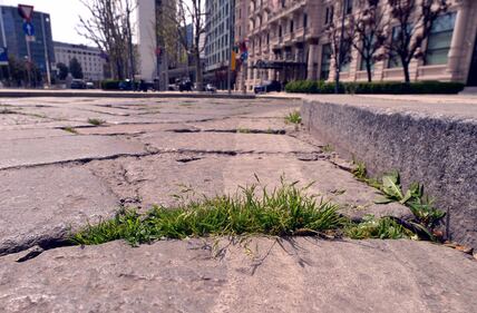 A Milano, la natura riprende i suoi spazi in città 4