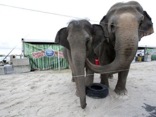 Il circo Ringling Barnum dice addio agli elefanti