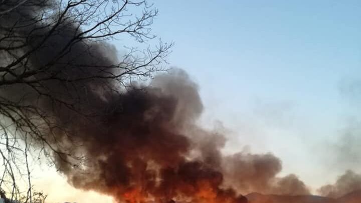 Incendiata l'Oasi della Lipu a Caserta, i volontari: “Dolo evidente”